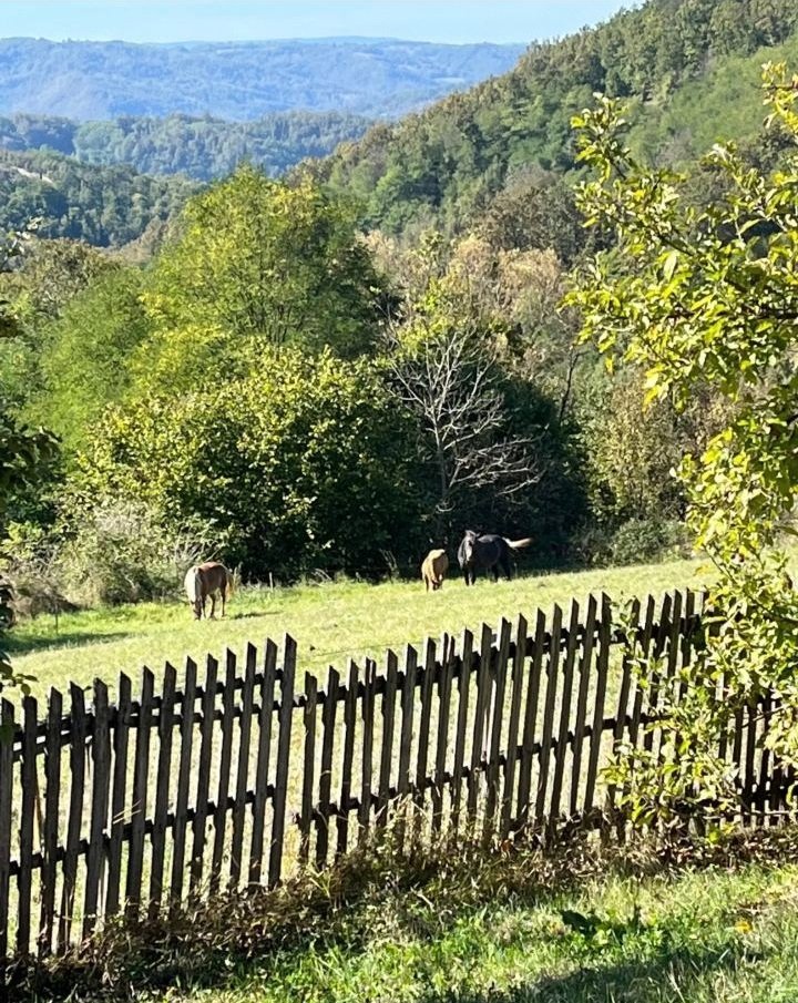 Seosko imanje kod Požege sa izvorom