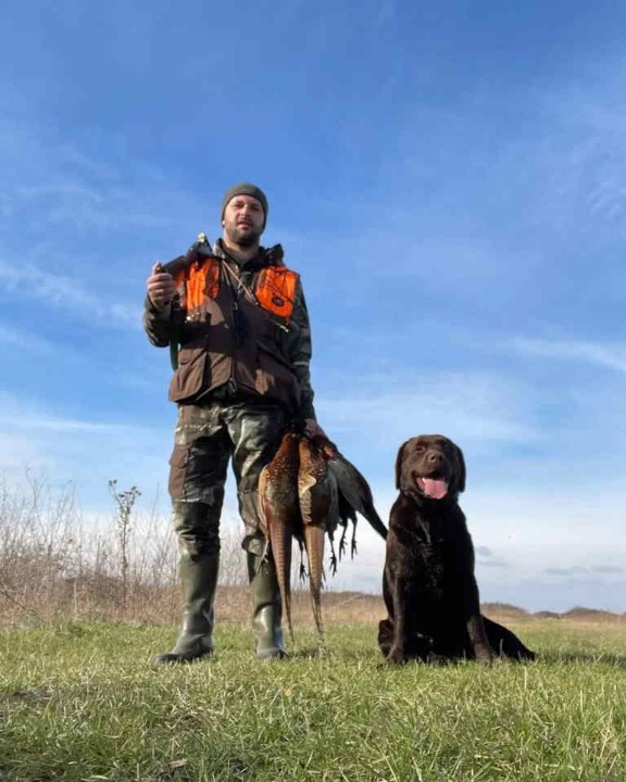 Labrador retriver, vrhunski čokoladni štenci  