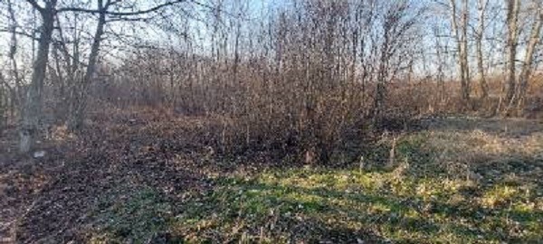 Prodajem plac u Lipama kod Smedereva