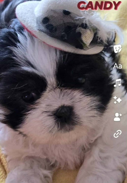 Prelepe si cu bebe  
