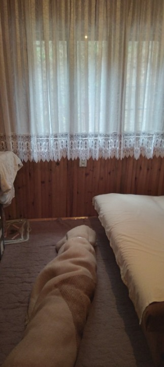 Prodajem kucu u Priboju
