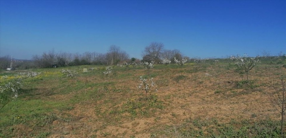 Plac 71 ar, Umčari-Grocka