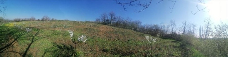 Plac 71 ar, Umčari-Grocka