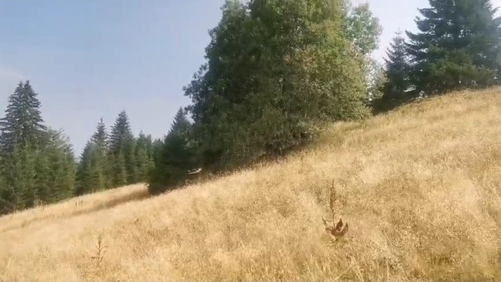 Plac na Kopaoniku-Kriva Reka