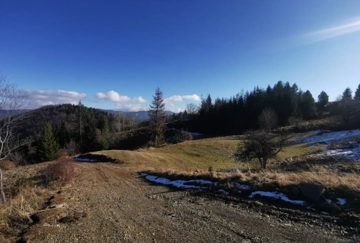 Zaovine/Vasilici 44 ara