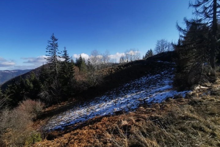 Zaovine/Vasilici 44 ara