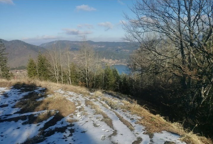 Zaovine/Vasilici 44 ara
