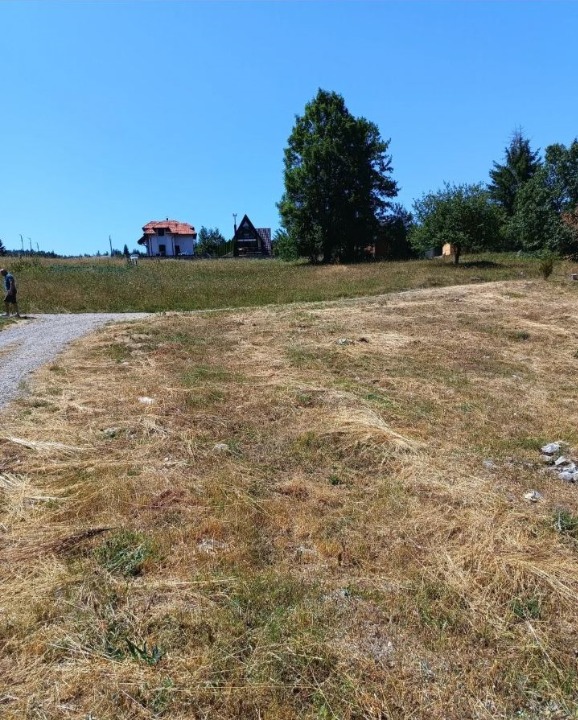 Plac na Tari-Osluša
