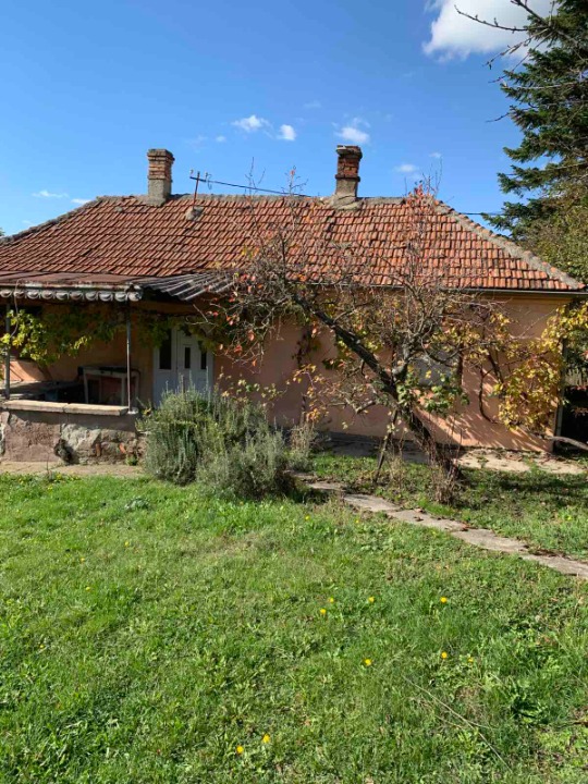 Prodajem dve kuce u Velikim Crljenima