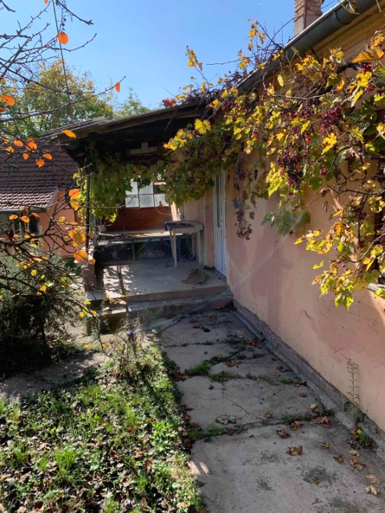 Prodajem dve kuce u Velikim Crljenima