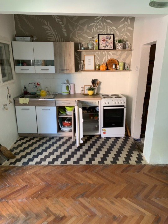 Prodajem dve kuce u Velikim Crljenima