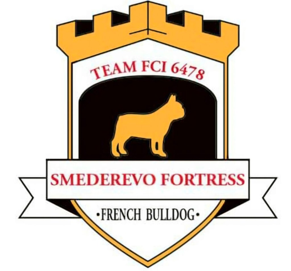 Francuski Buldog štenci