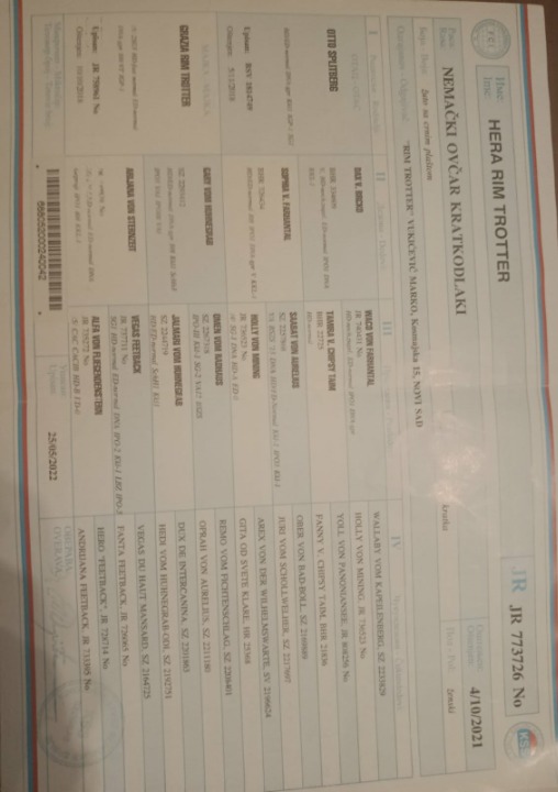 Nemački ovčar kratkodlaki, štenci
