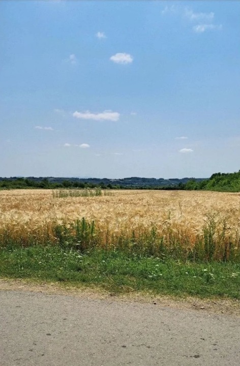 Njiva Barajevo-Veliki Borak