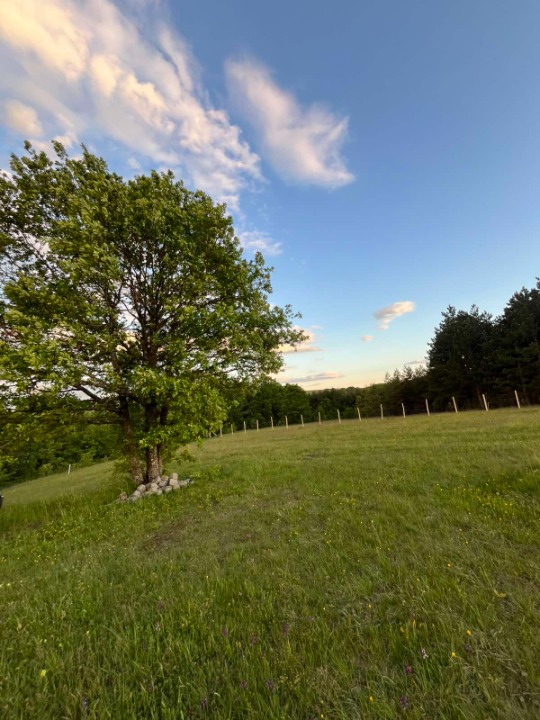 Prodajem plac u selu Ljutice-Tometino Polje