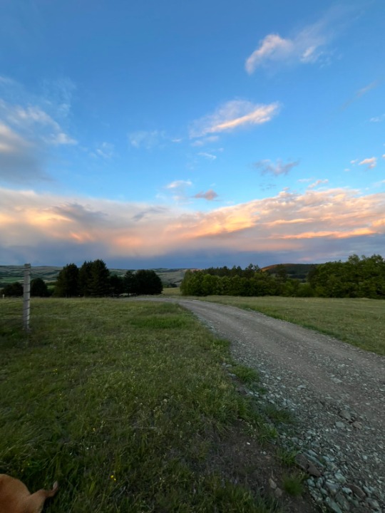 Prodajem plac u selu Ljutice-Tometino Polje