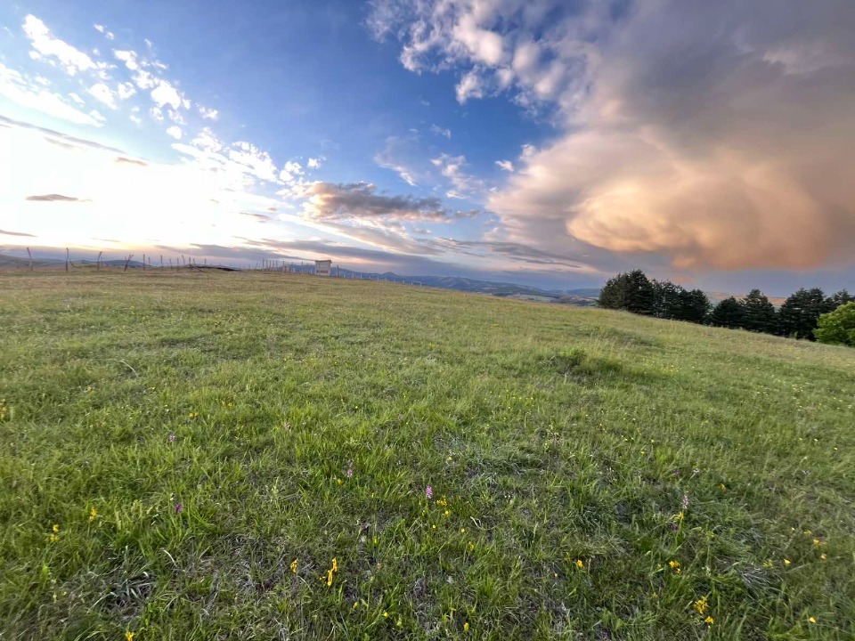 Prodajem plac u selu Ljutice-Tometino Polje