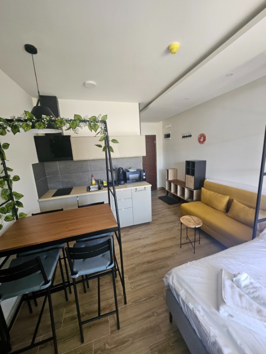 Prodaje se luksuzan studio-apartman na Kopaoniku