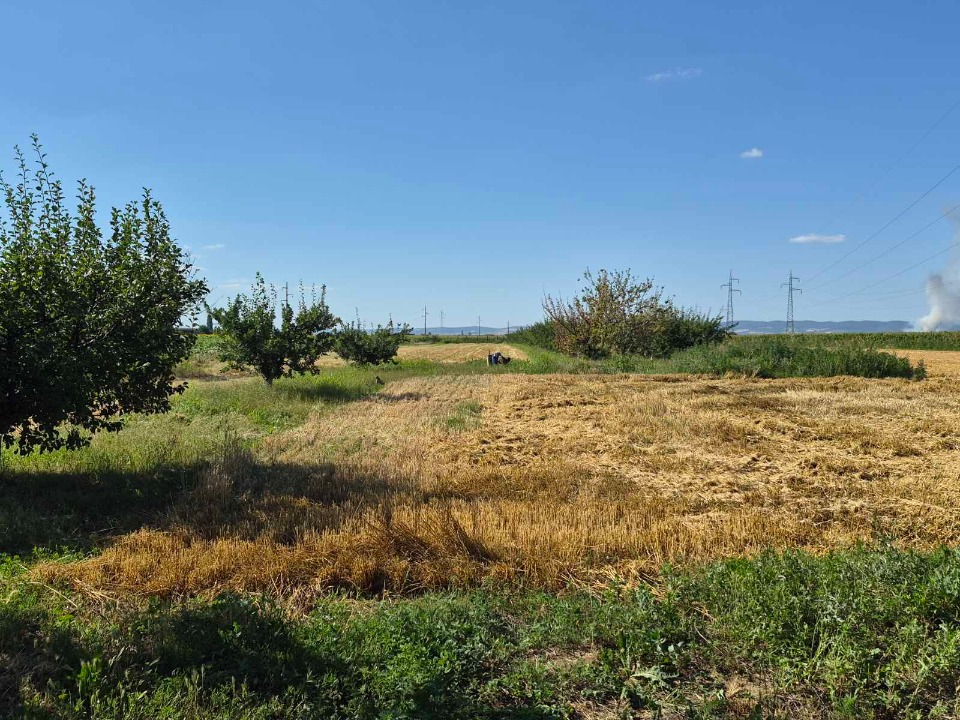 Na prodaju salaš – Rumski drum 69a, Sremska Mitrovica