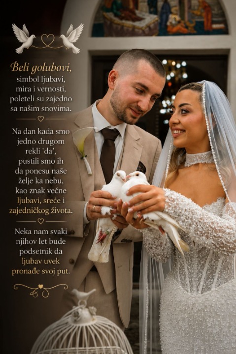 Beli golubovi za svecane prilike